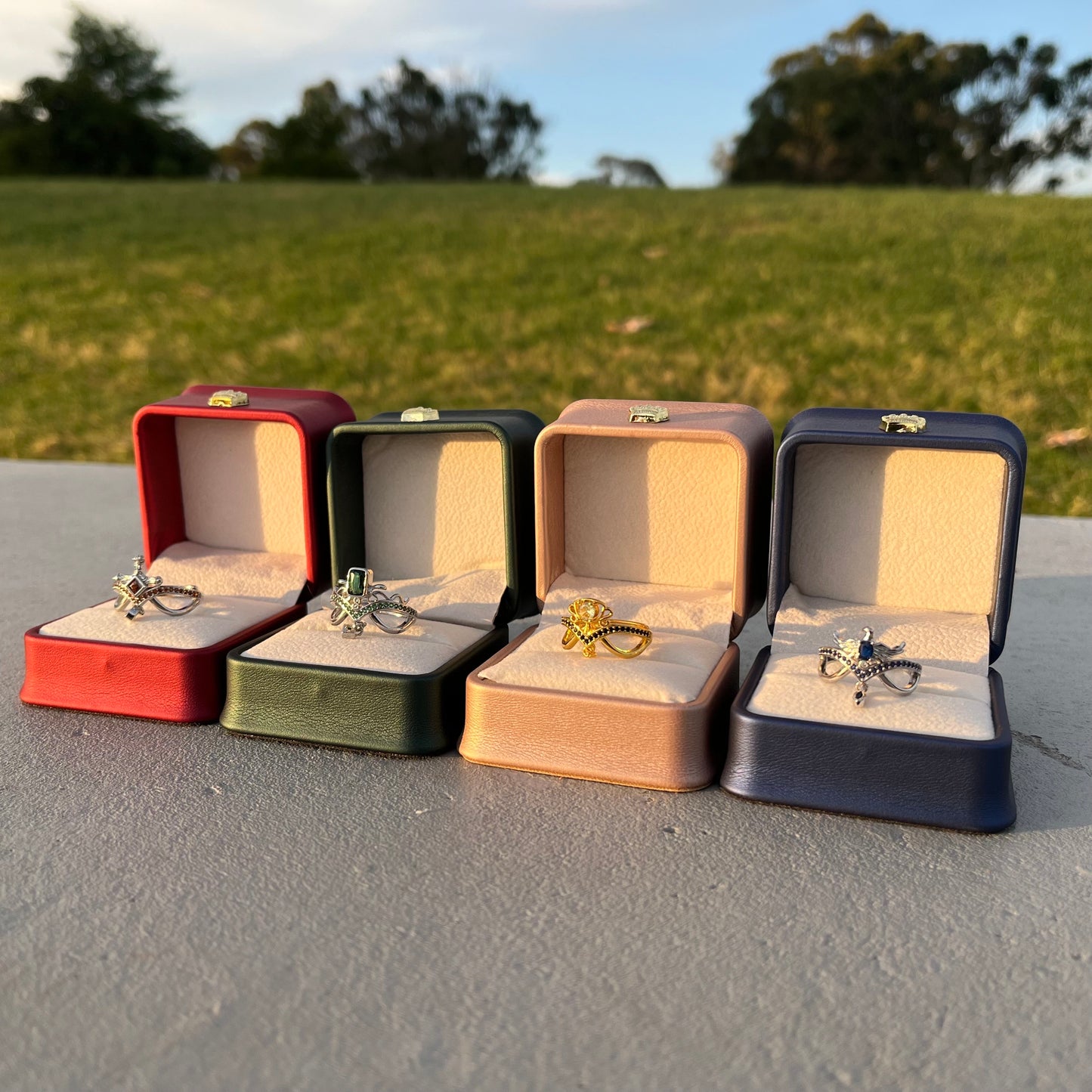 Harry Potter Rings